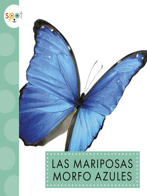 cover image of Las mariposas morfo azules